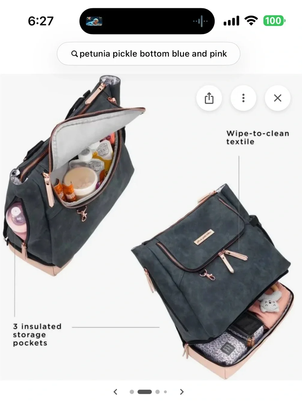Petunia pickle bottom diaper bag